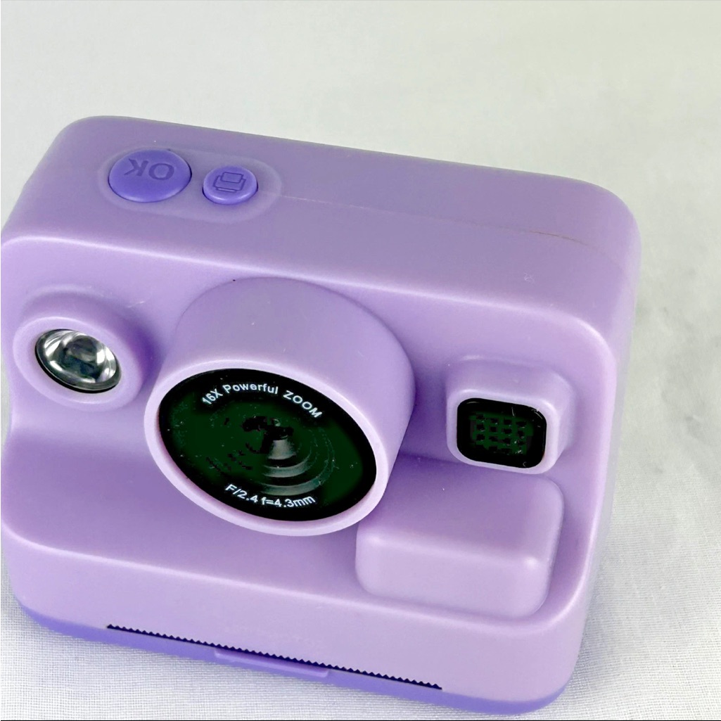Purple Compact Camera Case